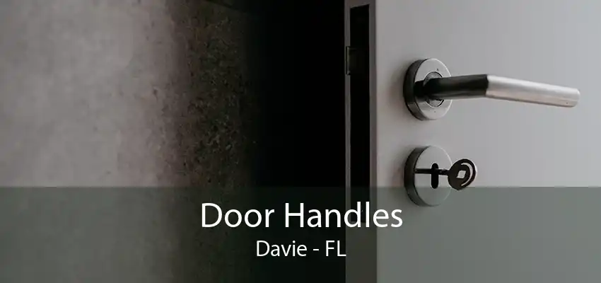 Door Handles Davie - FL