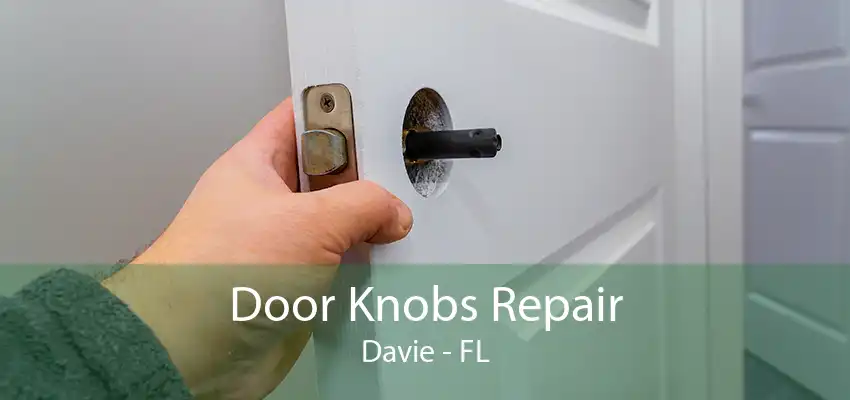 Door Knobs Repair Davie - FL