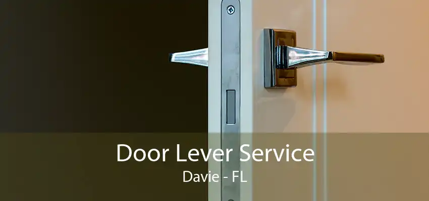 Door Lever Service Davie - FL