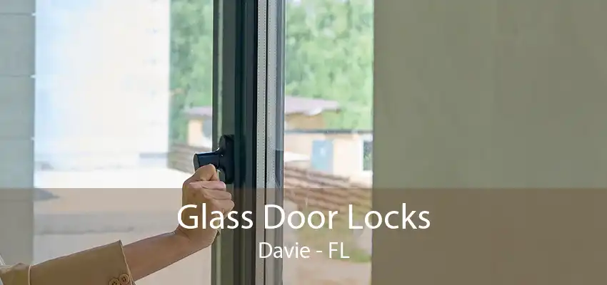 Glass Door Locks Davie - FL