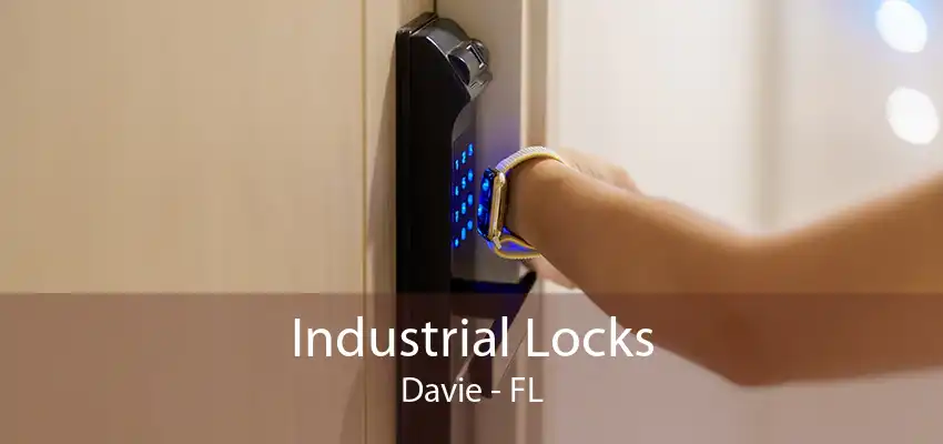 Industrial Locks Davie - FL