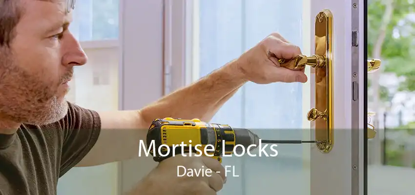 Mortise Locks Davie - FL