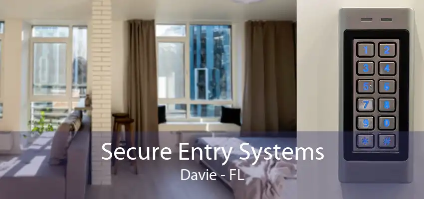 Secure Entry Systems Davie - FL